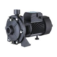 Поверхностный насос Pampman 2TCP25/160A (чугун,2200Вт, Hmax-57,5м,  Qmax-9,5м3/ч, всас 8м)