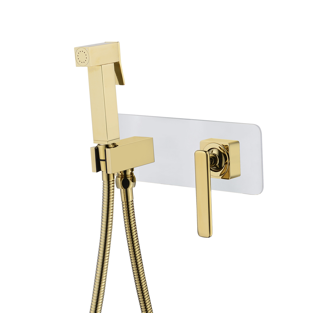 Смеситель Lemark Mista LM6419WG с гигиеническим душем встраиваемый