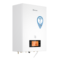 Электрический двухконтурный настенный котел Thermex Tesla 12-24 Wi-Fi