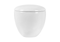 Унитаз подвесной безободковый Aquatek АЛЬТАИР AQ1980-00 530*395*340 с сиденьем Soft Close