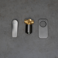 Смеситель Lemark Bronx LM3723GM для душа встраиваемый