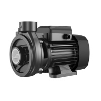 Поверхностный насос Pampman 1.5DK-20 (чугун, 750Вт, Hmax-17м,  Qmax-21м3/ч, всас 8м)
