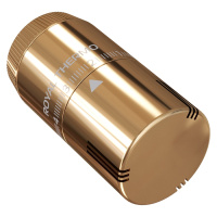 Термоголовка жидкостная Royal Thermo Design М30х15 Золотой