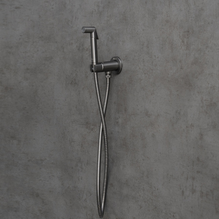 Смеситель Lemark Solo LM7171GM с гигиеническим душем встраиваемый