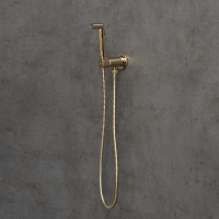 Смеситель Lemark Solo LM7171G с гигиеническим душем встраиваемый