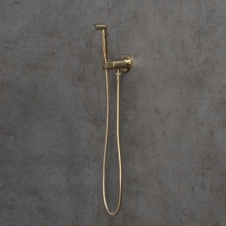 Смеситель Lemark Solo LM7171G с гигиеническим душем встраиваемый