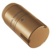 Термоголовка жидкостная Royal Thermo Design М30х15 Золотой матовый