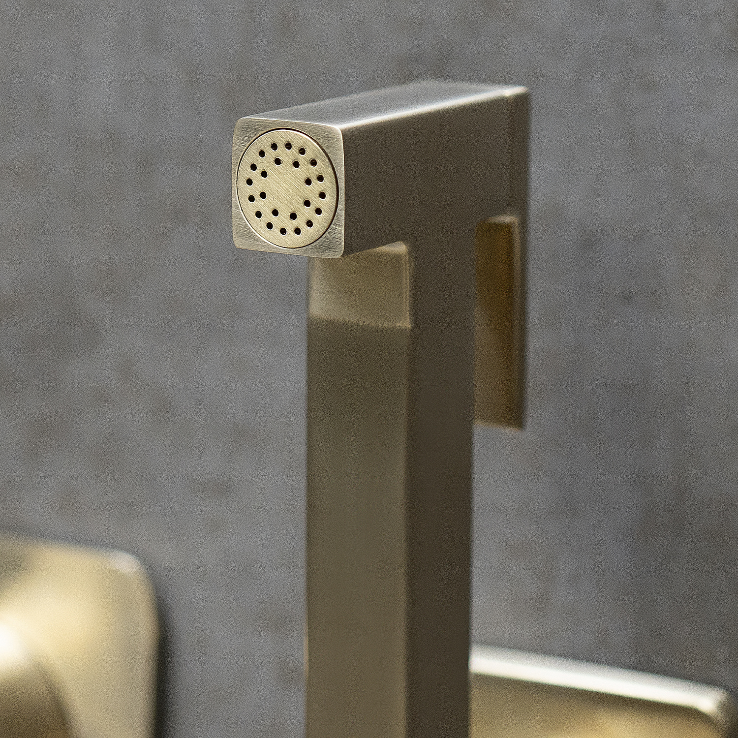 Смеситель Lemark Ursus LM7219BG с гигиеническим душем встраиваемый