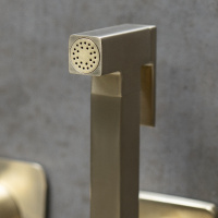 Смеситель Lemark Ursus LM7219BG с гигиеническим душем встраиваемый