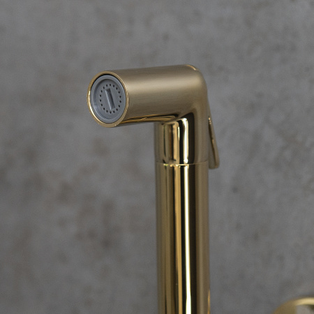 Смеситель Lemark Solo LM7171G с гигиеническим душем встраиваемый